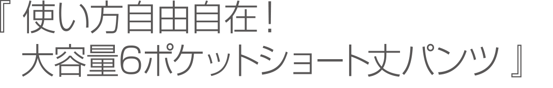 使い方自由自在！驚異の6ポケットパンツ